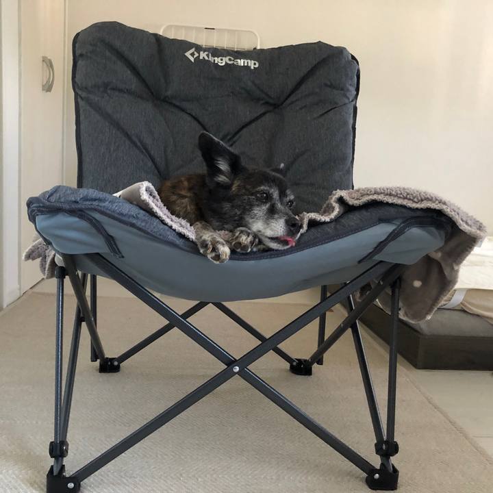 E57d8cfb f3b2 45ae 88fe a1e87f6d3359 1691018282040