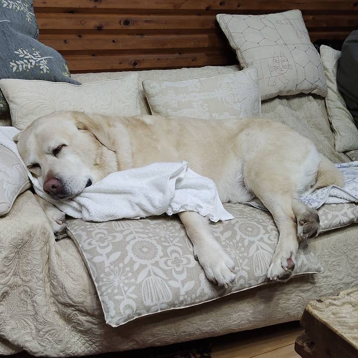 E57e3ae5 bfd3 4b8c 94c1 40aa13c82ac6 1769329915777