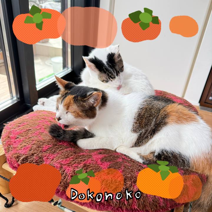 E57e5473 07aa 422c 9cf5 9163f8f5adbe 1761620529552