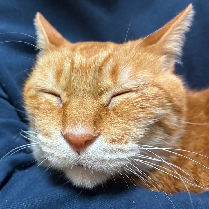 E57e83bf 7219 4e04 a487 f72edaba0df0 1764234430873