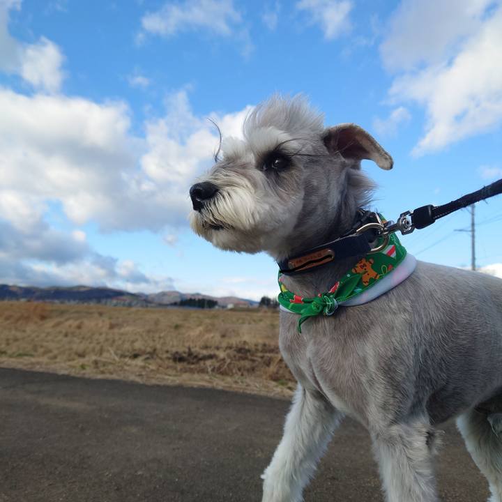 E57e962a cc5d 4b54 99ac f9181a393cf1 1766017615996