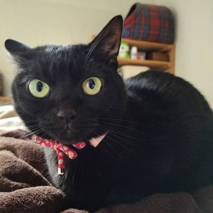 E57e9abc 92b8 42f5 90e9 347d20138396 1647557056001