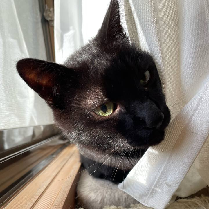 E57eda11 182b 47a8 b305 0daa729c9904 1643941408918