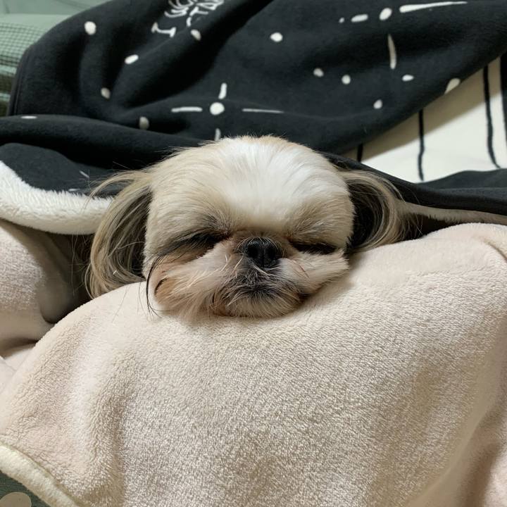 E57f1a26 ac1c 46c2 b012 f91bf4fa392c 1640506914273