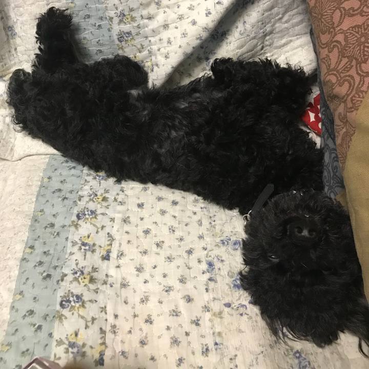 E57f5306 e4cf 4a3a 86f3 07c04f879a49 1534253567561