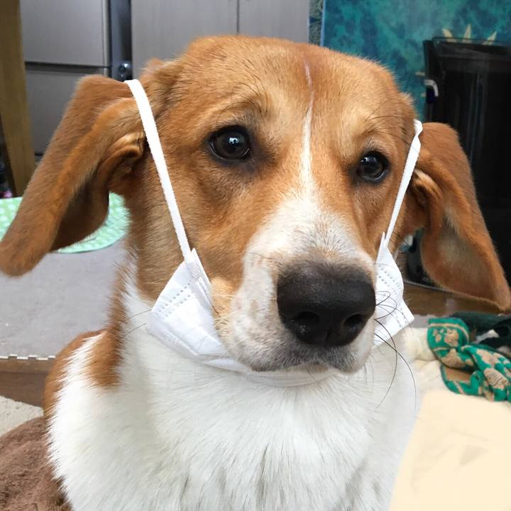 E57f6656 3476 42ff 9455 40327402d253 1604755804237