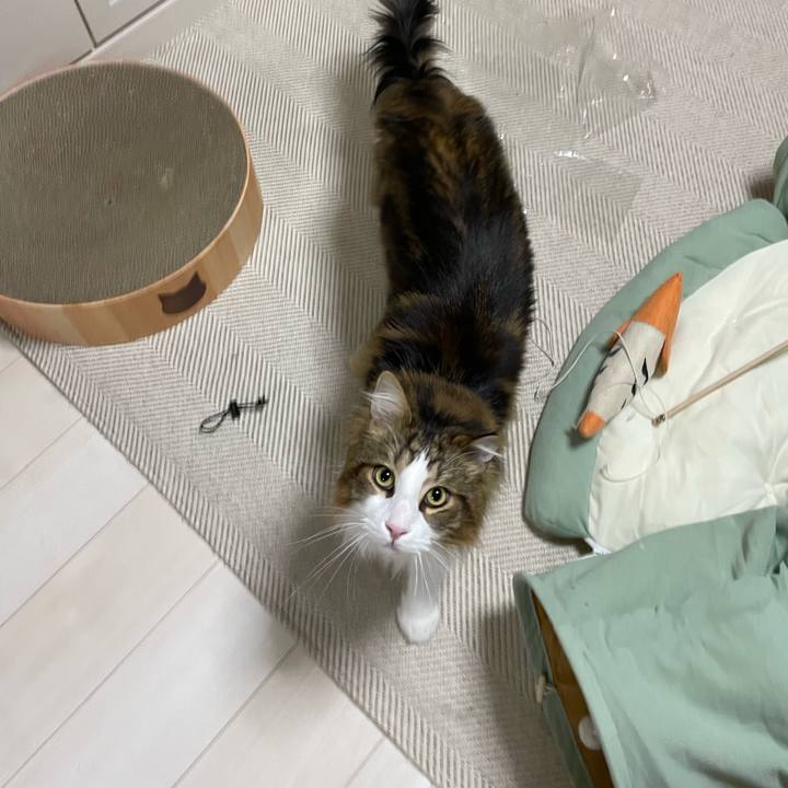 E57f7e95 7bcb 4b2a 8ab2 bd862be9620e 1681675281968