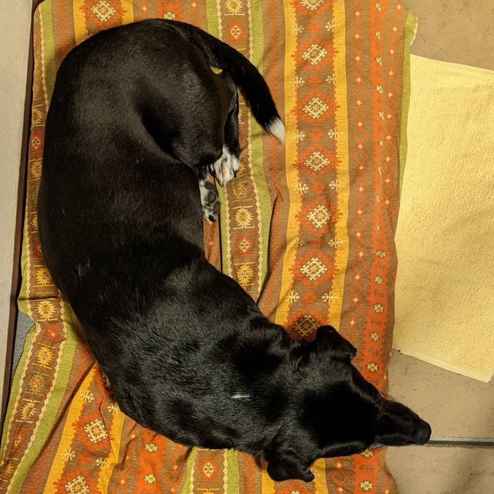 E57f9c2f 1113 4bff ba42 f67471d6d012 1684233089963