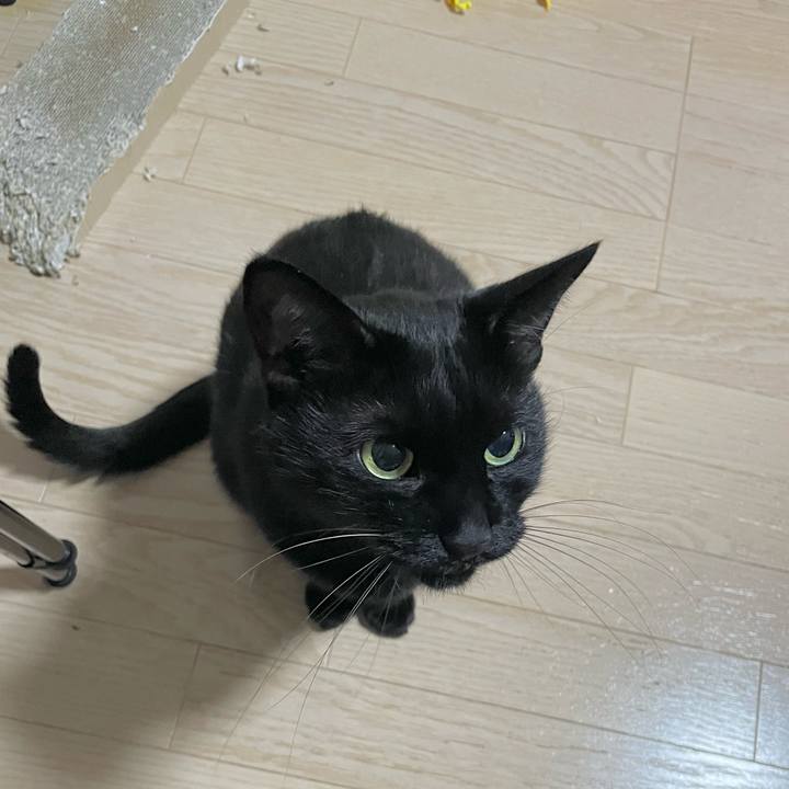 E57fc423 db2f 426b 9d4c 9099453798d0 1700921282699