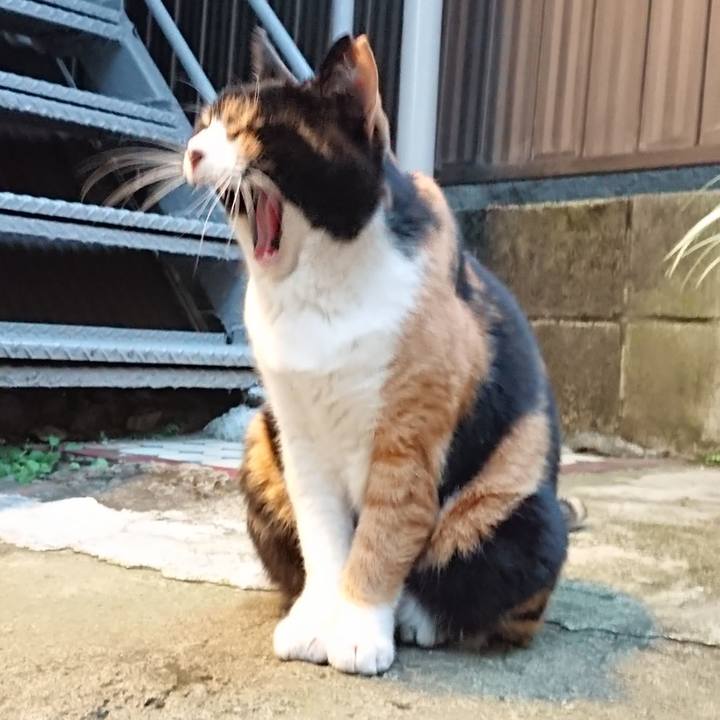 E57ff5b9 b3ce 42b2 8969 f179a2556379 1667462718534