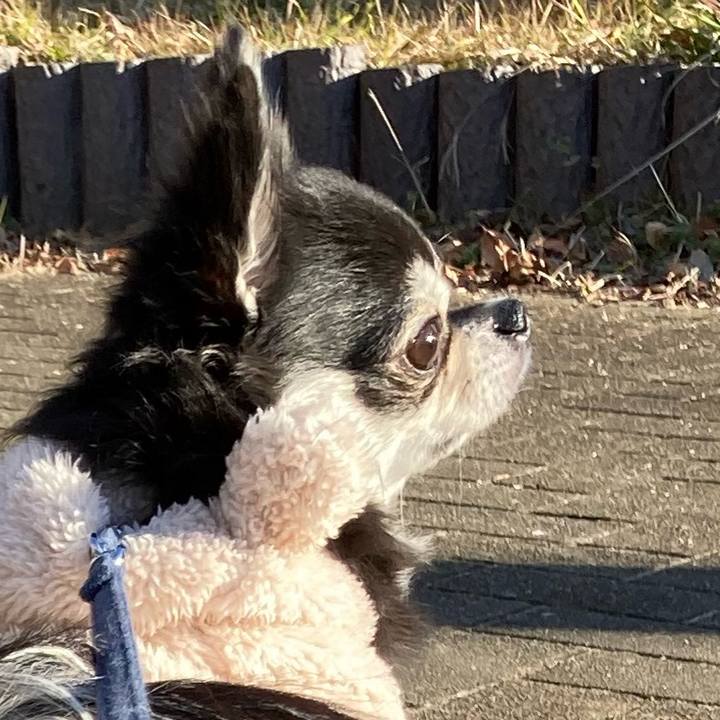 E5805b7c 7242 4f60 b97c 5b5fd24f381f 1673103695510