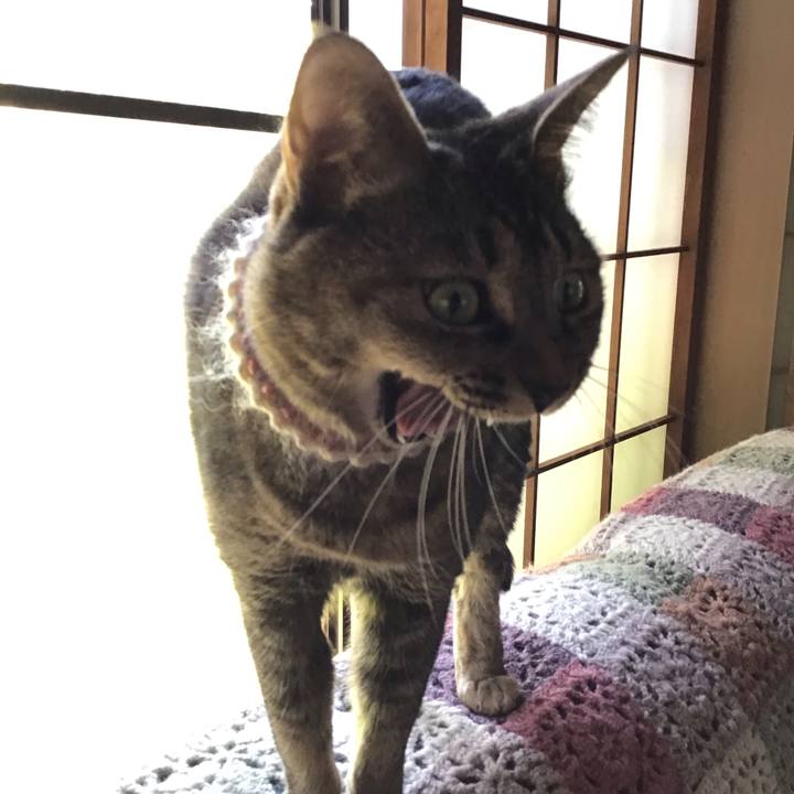 E5806b77 2900 4e3a 97b0 c51d22f5f2b6 1651553336916