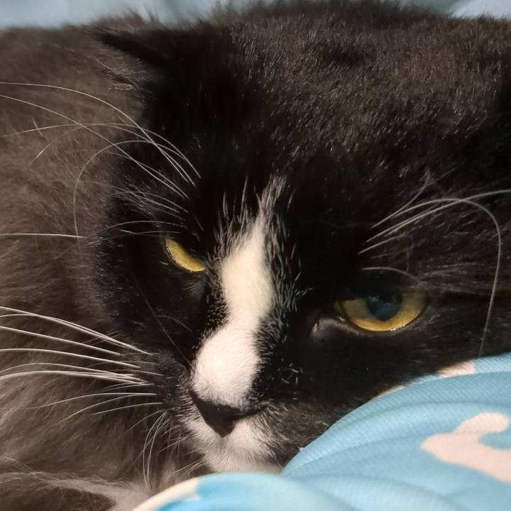 E5806f95 69c2 4cd6 b496 2d472e93d72f 1692430884617