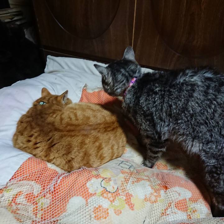 E5808860 e842 4b17 b34b 2288583cdcf2 1581248714864