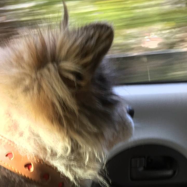 E580bb8f c7ca 4959 8364 bb2084331683 1607163974932