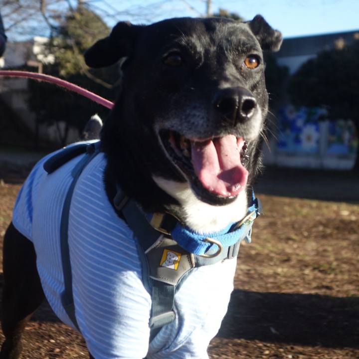 E580d984 0795 48b0 9516 5ce5f71d4978 1707613542466