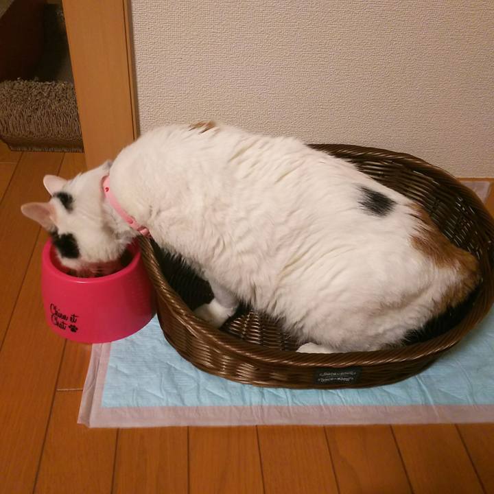 E580ebd2 db33 448e 8496 87fd001b45a3 1533387875989