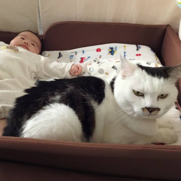 E58114cc 48d3 4c38 ae6b 8755646dec1d 1613876900467