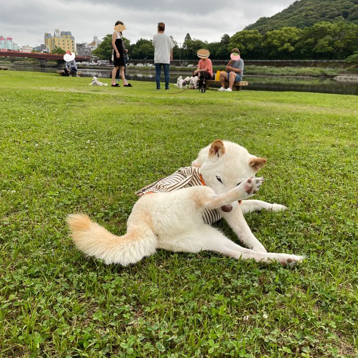 E5812d4f 9a6c 41d7 8111 c3703bda1aa9 1655645197360