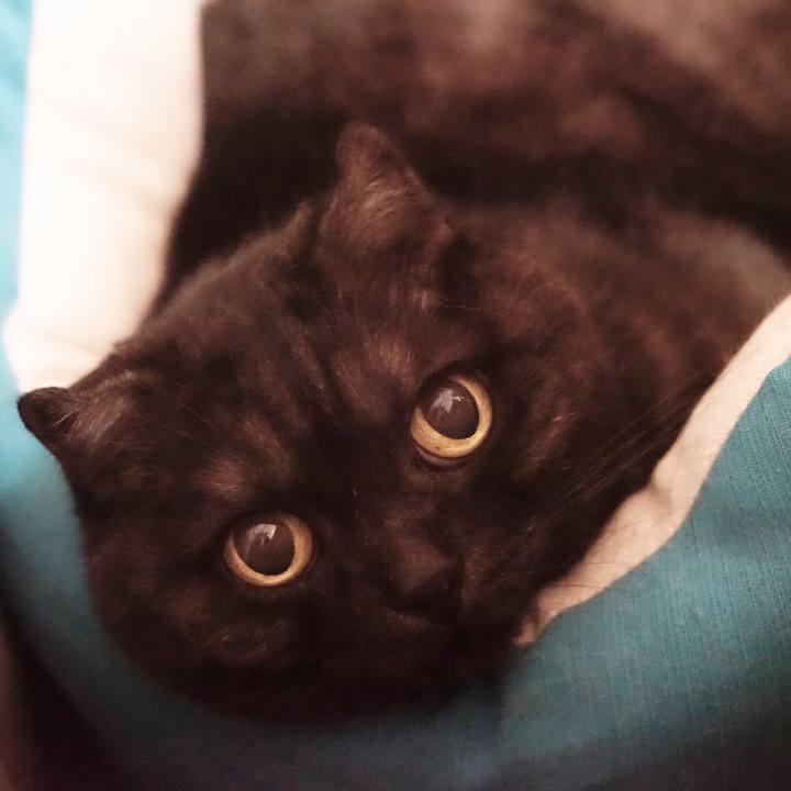 E5814625 1801 4ed4 ae07 b210a4c77349 1561468519413