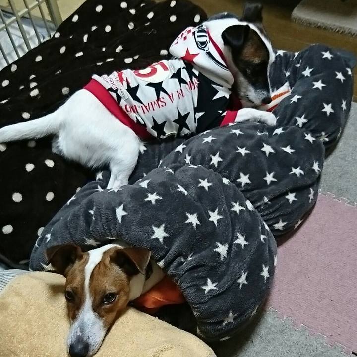 E5816f59 d426 44cf b118 2840cff6d6bb 1540908949510