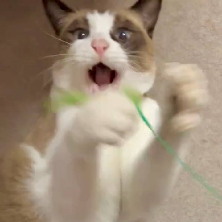 E581a029 c6ec 467d 844c 996e0db5916c 1730436178134