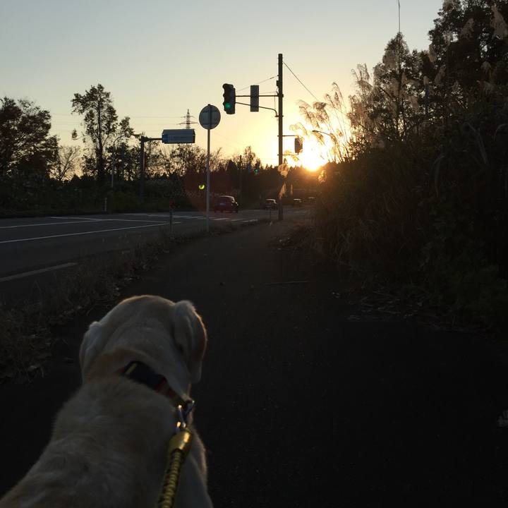 E581a11f 6317 4b7b 9e08 25d6591d69df 1562928659810