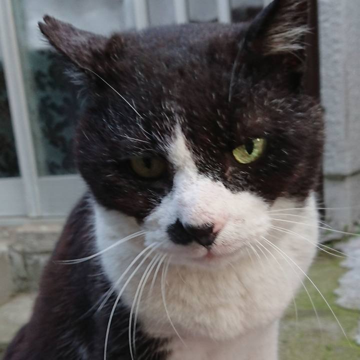 E581ebb1 895c 4610 8104 94b1b619bf6d 1684229224478