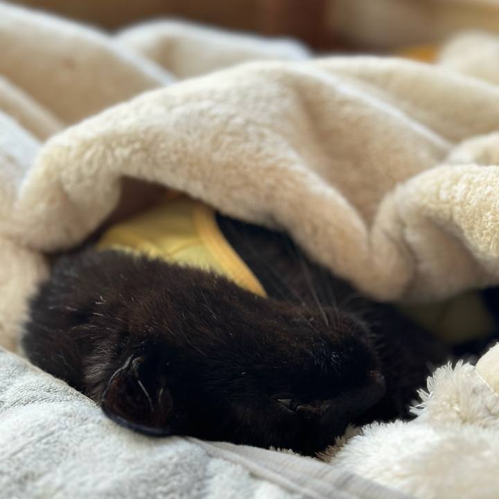 E5820314 d680 4161 bb21 84500352ba25 1719539704005