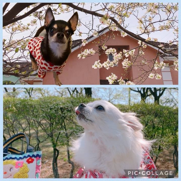 E5822f00 82f1 4c89 ba3b 39d61d982c3b 1713412989215