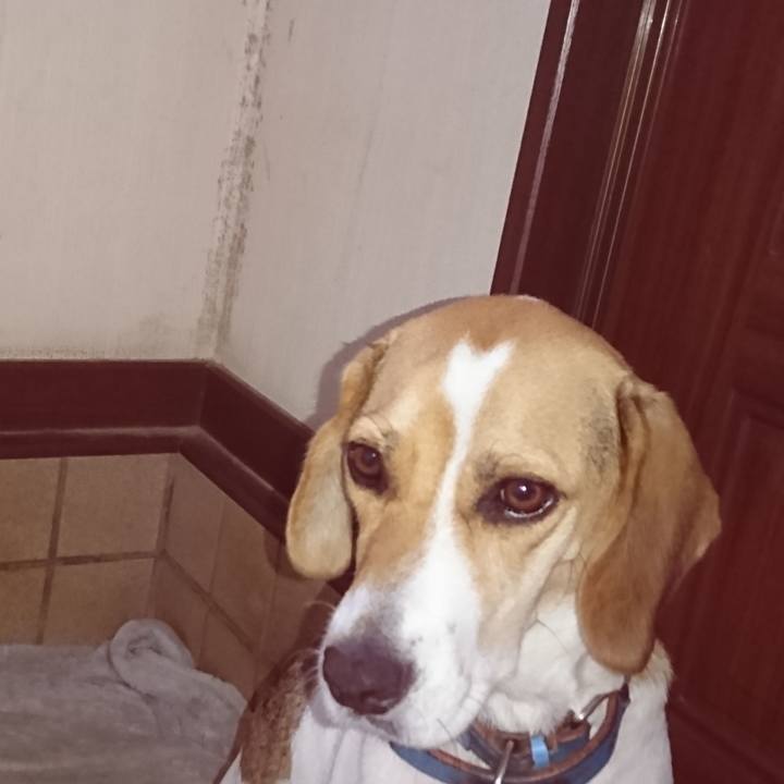 E582f472 40c8 4c0a a852 e8639f045424 1569220712539