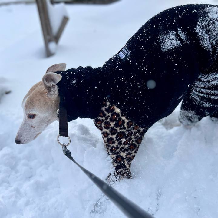 E5832355 eca1 4dcc 880f 4268ffbdb8cb 1767341917855