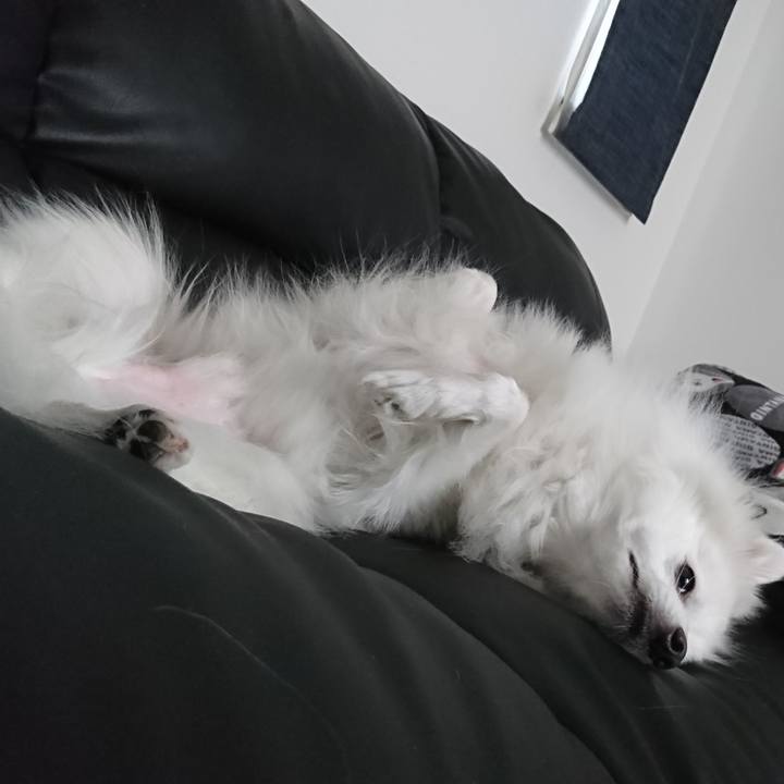 E583242f 7703 4f20 946d 3fbdd78a67cd 1581050472906