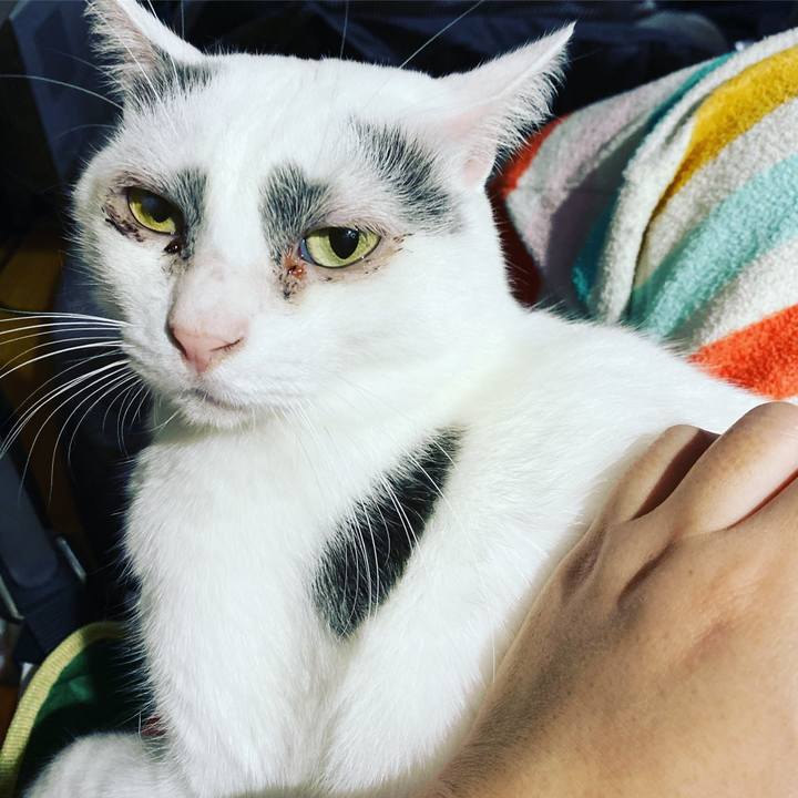 E58328ea e7fb 47fc b4ce cbb57c000e6e 1612282563724