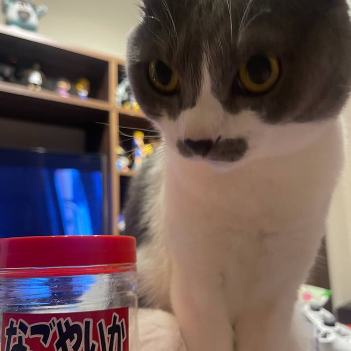 E5838c99 a9d9 4d4a 9248 0f1f70952172 1634652771768