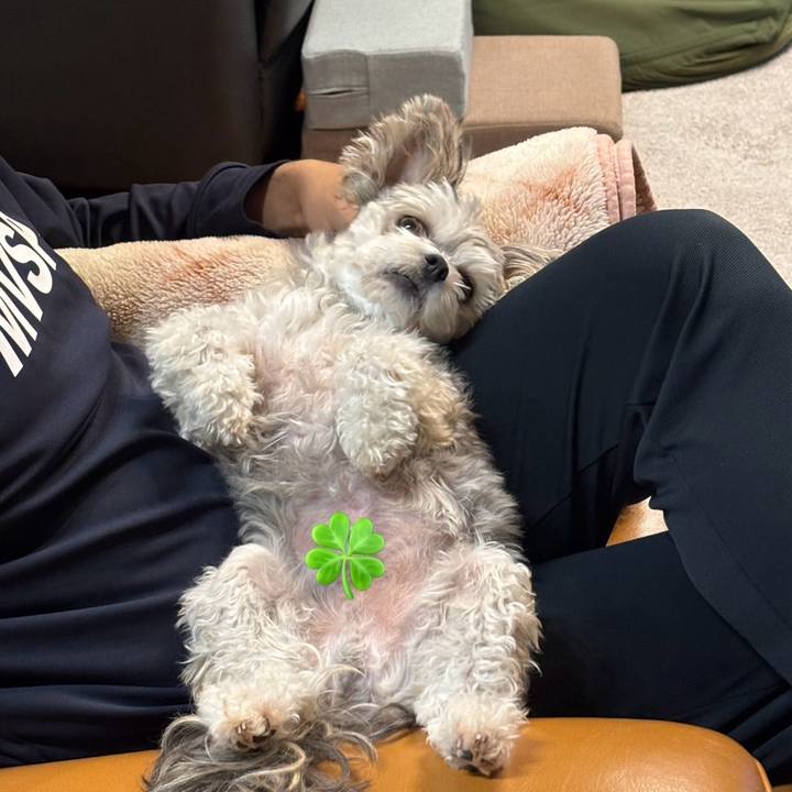 E583b8f8 2347 46fe 9b48 27b7e84b8ebc 1762514880597