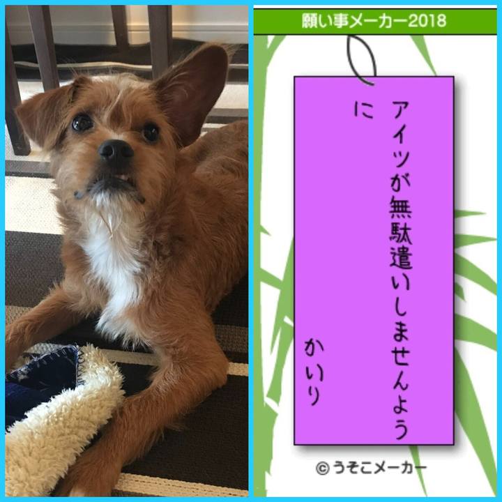 E583e6cb e7e6 409e a518 24e75bf95d7e 1530923190067