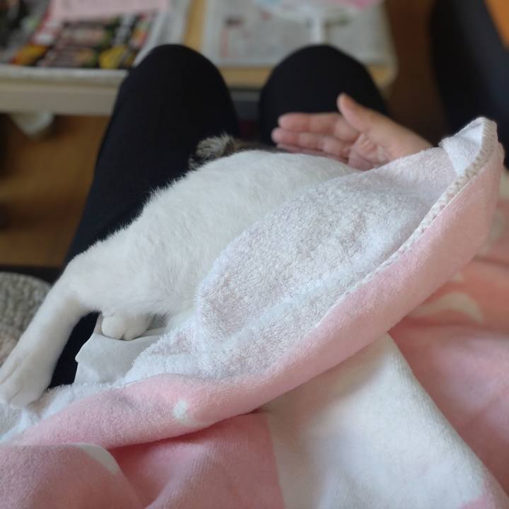 E584198e 441e 49c3 b9fe ce64a55f3311 1726615877429