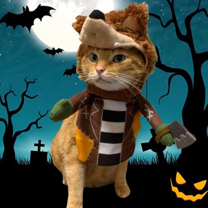 E5843d55 0d52 4a60 98b6 0cb28f2eab8b 1635503469971