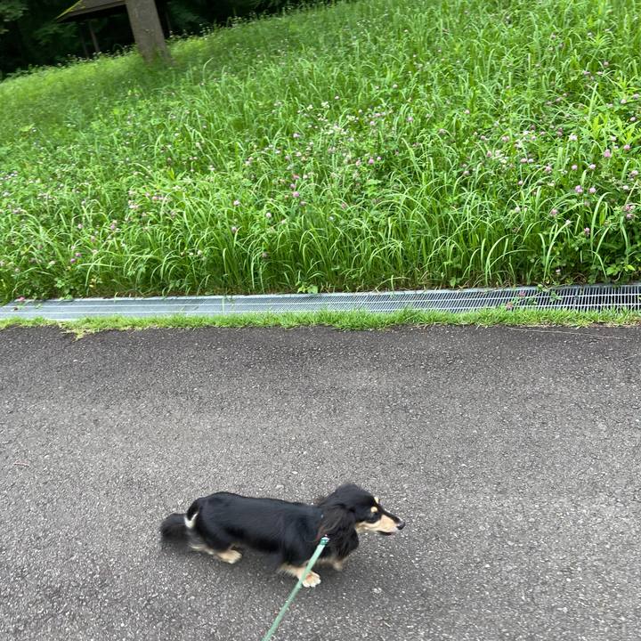 E5843dea 955e 440c 85a8 9fa97a286296 1721263432783