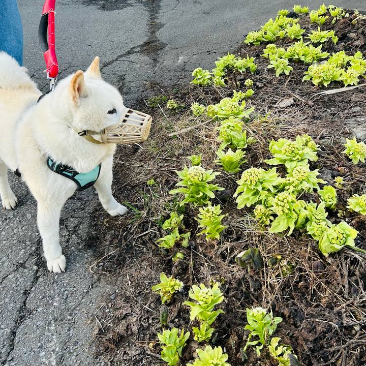 E584e6dd 71c6 4aaf 9ee7 d45df4d4e7e7 1744323171972