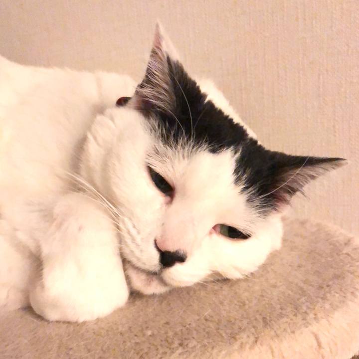 E584ec7d 13cf 4e5d b1c7 7730c58792ba 1524064527478