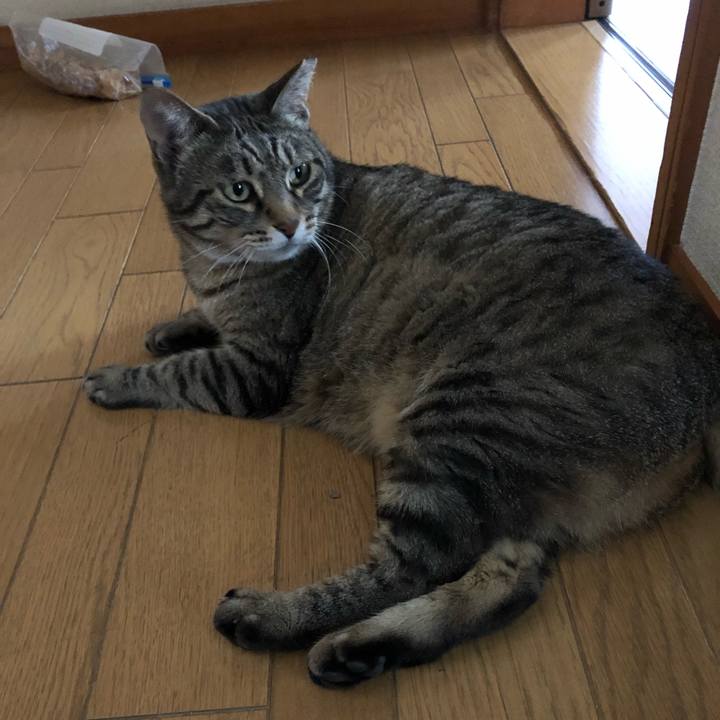 E585103d 4185 4fc2 a41f f57032ee6cf0 1562313801724