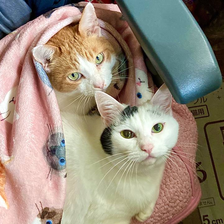 E5851ee6 c397 4553 9a55 a033862c0403 1636270935799