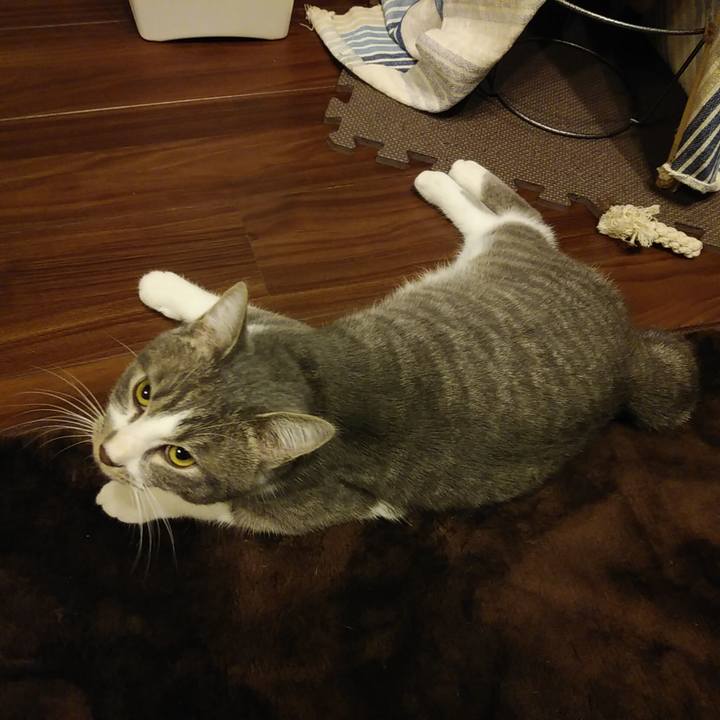 E5853502 991f 490f a33a dda93d75dcf1 1576936672943