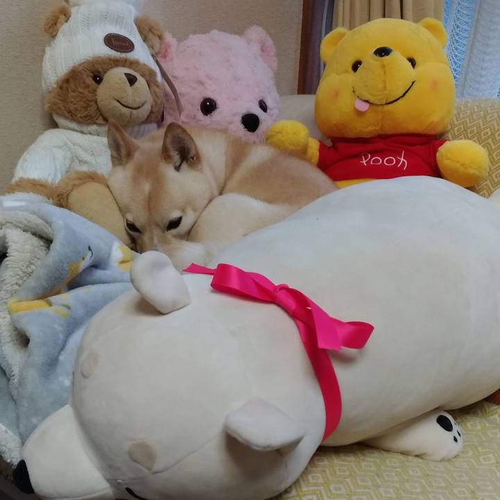 E5854e11 c551 46b0 b96c 581f06bd705d 1577084091070