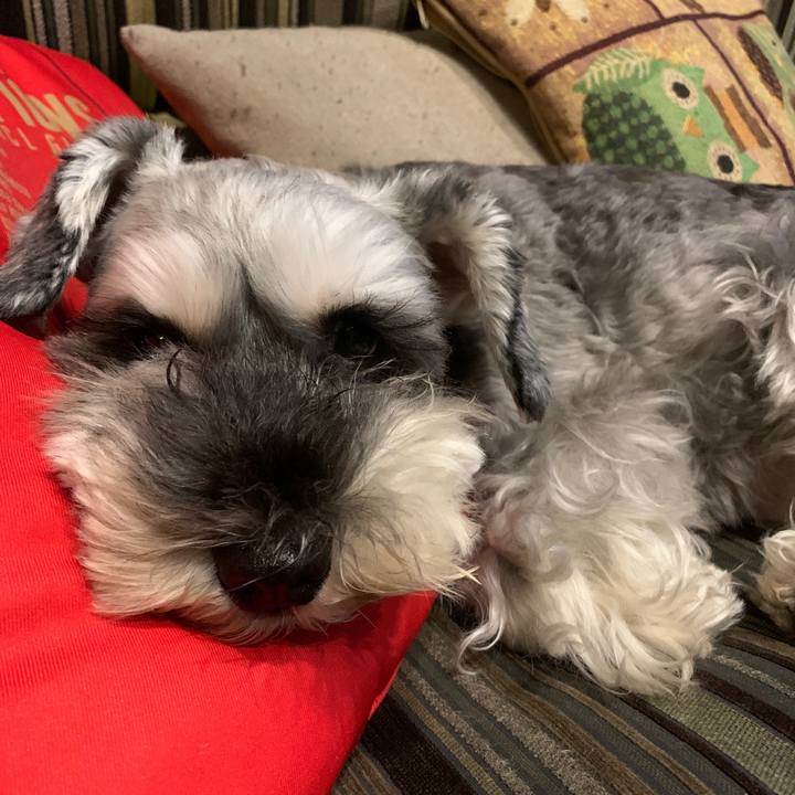 E5854fcf 5cd6 4e07 b3c0 219f008943f4 1599482767279