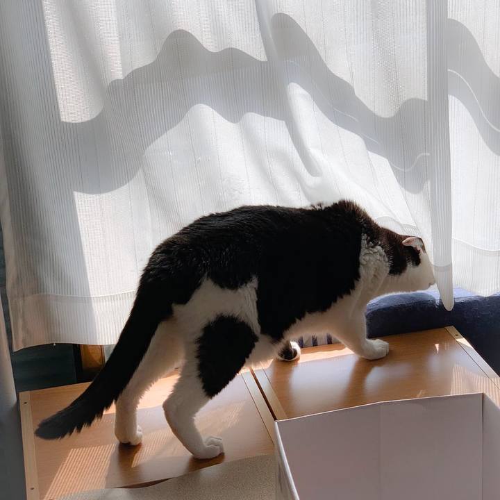 E58561a0 4d17 45b6 bc85 1ef0f11d935f 1561337445098