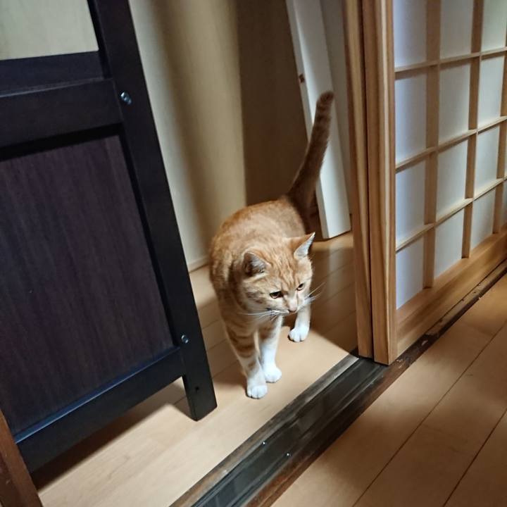 E5858a6d 9ac2 4b03 9a2e aa2921b80e20 1606468046674