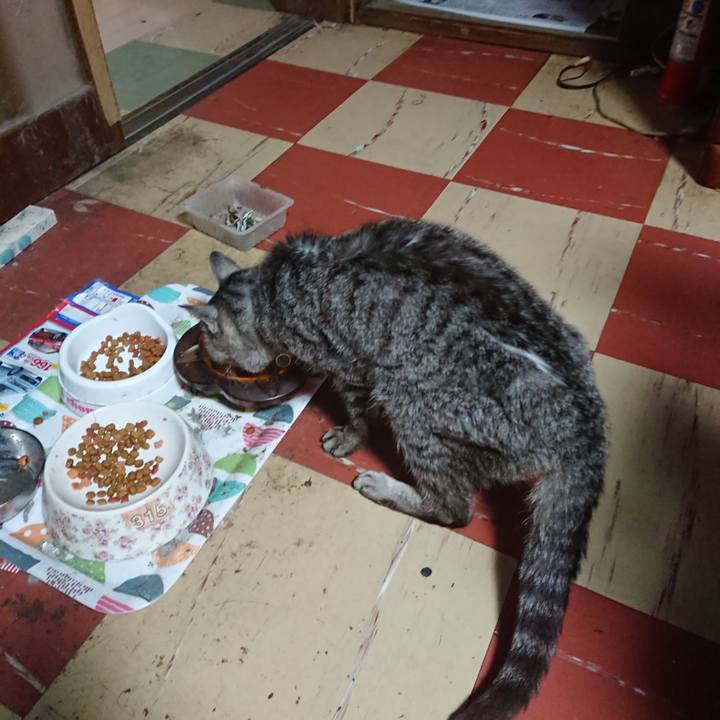 E585b168 64b9 43a4 8ce8 eee01cb8feb8 1595188523652